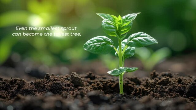 A young plant sprouting from rich soil with 'Even the Smallest Sprout Can Become the Tallest Tree' Text Animation, Motivational. Generative AI
