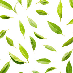 Green tea leaves isolated on transparent background