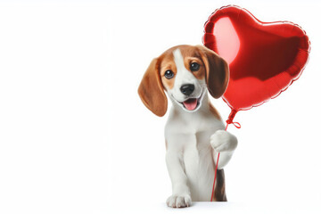 A dog with a balloon in the shape of a heart. Space for text.
