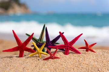 Tropical starfishes at the beach - 750888427