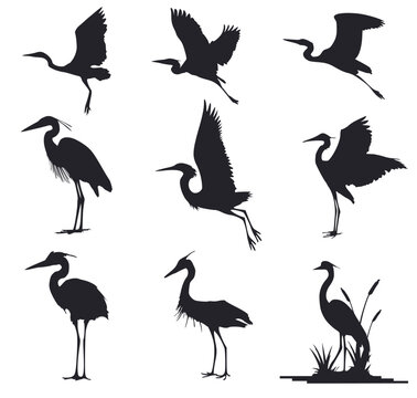 A set of silhouettes of beautiful herons