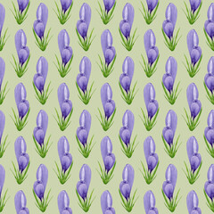 Watercolor spring crocuses seamless pattern, spring flower digital paper on green background. Hand painted floral illustration. For textile design, packaging, wrapping paper, wallpaper, scrapbooking.