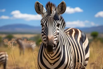 Papier Peint photo Zèbre Elegant zebra displays her stripes in the African savannah., generative IA