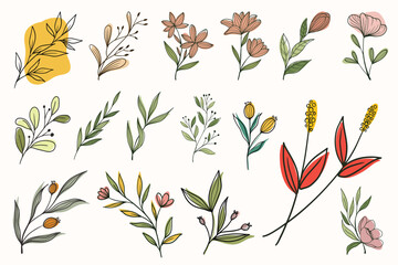 illustration of floral vector illustration element