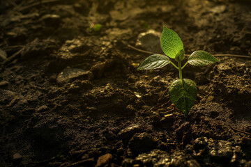 新緑のイメージ、新芽、植物、3D CG