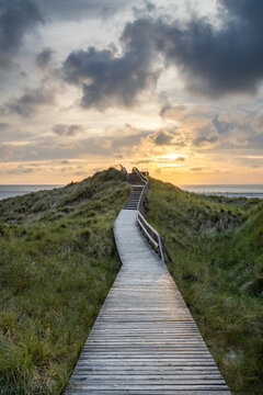 Path to the beach, Amrum, North Sea coast, North Frisian Islands, Schleswig-Holstein, Germany