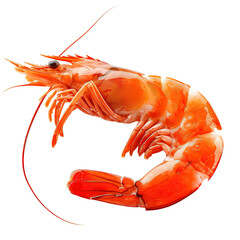 Red prawn or shrimp isolated on white or transparent background