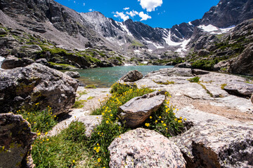 wild flowers and sky pond at Rocky Mountain national park, Colorado