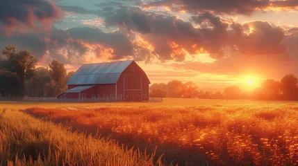 Photo sur Plexiglas Brique Beautiful sunrise on the farm.