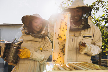 Happy woman beekeeper holding smoker by indian man apiarist examining honeycomb frame at apiary...