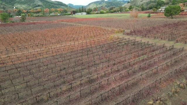 Aerial video over Gilroy United States. on a sunny day