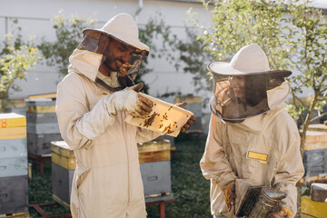 Happy woman beekeeper holding smoker by indian man apiarist examining honeycomb frame at apiary...