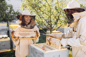 Two beekeepers works with honeycomb full of bees, in protective uniform working on apiary farm, getting honeycomb from the wooden beehive