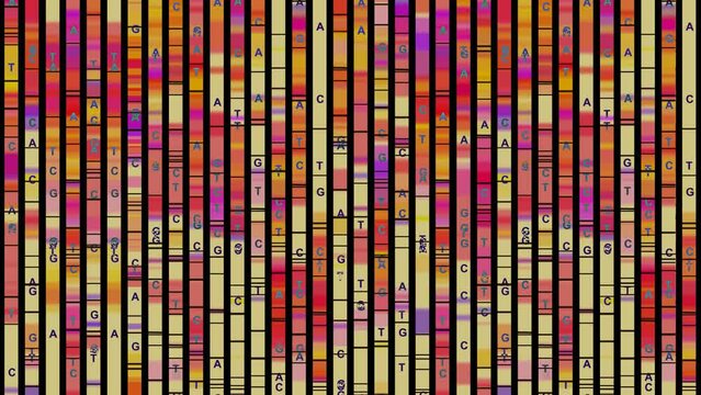 Genomic Data Visualization - DNA Test, Genome Map Architecture, Barcoding, DNA Sequence
