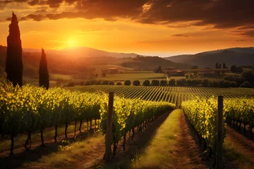 Fotobehang a Tuscan vineyard with rows of grapevines stretch to the horizon © Ingvar Shelly