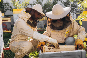 Couple of happy smiling beekeepers working with beekeeping tools near beehive at bee farm - obrazy, fototapety, plakaty
