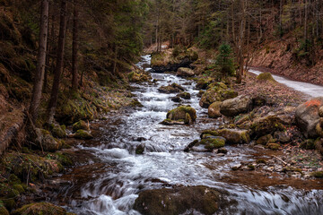 Cute stream in a dark dense forest with small waterfalls among stones
