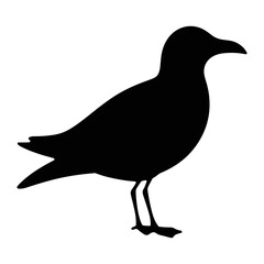 Fototapeta premium silhouette of a seagull bird cute seagull vector illustration with a white background