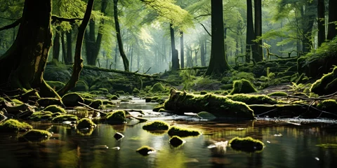 Tuinposter A stream cuts through a dense green forest © Ihor