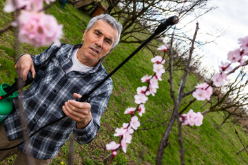 Spraying Fruit Tree with Organic Pesticide or Insecticide in Spring. Spraying Trees against Fungus Infection.