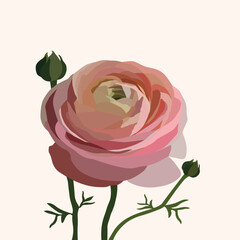 spring-flower-vector