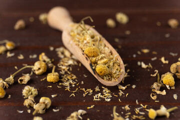Dried chamomile or chamomile flowers to make medicinal infusions in wooden spoon on wooden table
