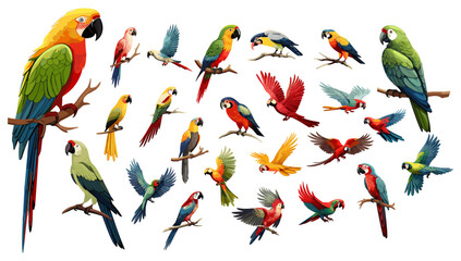 Parrots jungle tropical birds, cartoon style colorful vector set. Flying animal from different angles with beak, wings, milticolor. Detailed cartoon illustrations isolated on white background