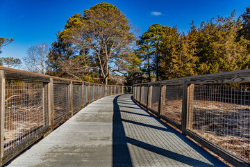 The Boardwalk © CE Photography