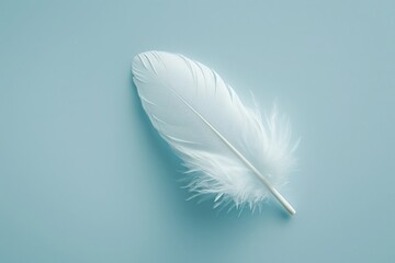 A solitary white feather lies against a soothing blue backdrop, exuding a sense of calm.
