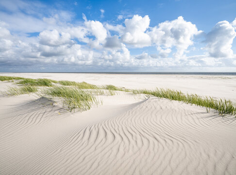 Dune beach in summer, North Sea coast, Amrum, North Frisian Islands, Schleswig-Holstein, Germany