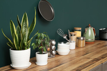 Wooden kitchen countertop with houseplants and utensils