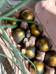 Easter eggs painted in black and gold are lying in a tray next to green leaves of grass. The concept of the spring Easter holiday. Vertical photo