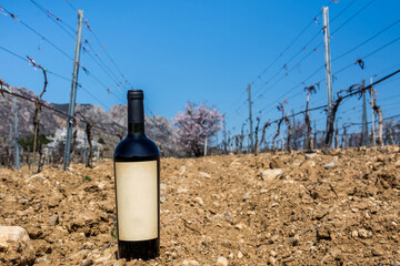 Bottle of wine in nature - 750930612