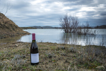 Bottle of wine in nature - 750930626