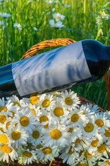 Wine in a chamomile field - 750930646