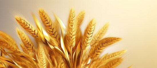 golden wheat plant background