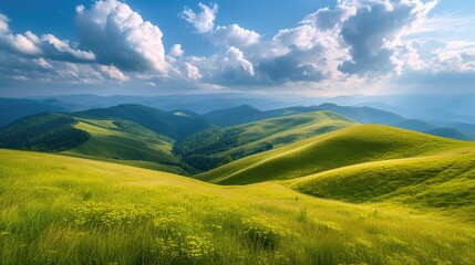 Obraz premium Mountain meadow in summer