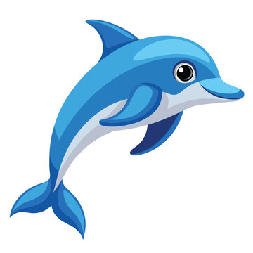 Color dolphin white background vector illustration