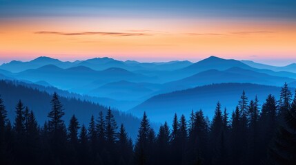 Forest Silhouette with Twilight Sky