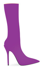 Women long boot. high heel. vector illustration