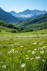 Obraz premium Expansive Green Meadow with Distant Mountain Range