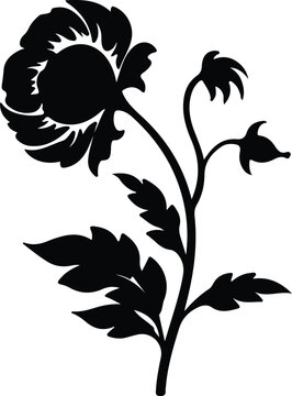 carrion flower  silhouette
