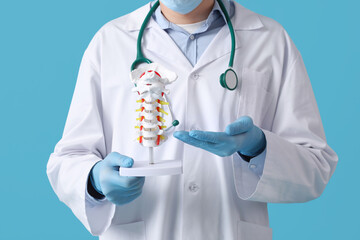 Male doctor showing spine model on blue background