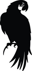 scarlet macaw  silhouette