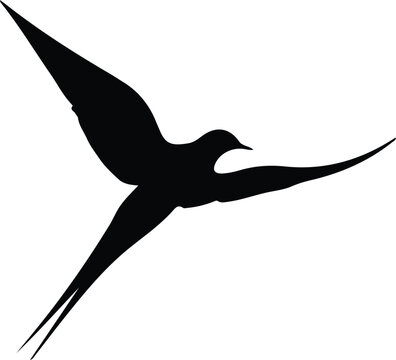 recommend clip art: tern  silhouette