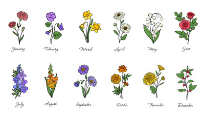 Set of birth flowers vector, hand drawn, in color
