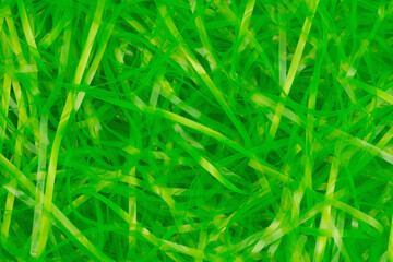 Green Easter grass background