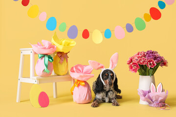 Cute cocker spaniel in bunny ears with gift eggs, beautiful tulips and Easter garland on yellow...