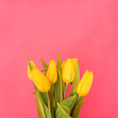 bouquet of tulips