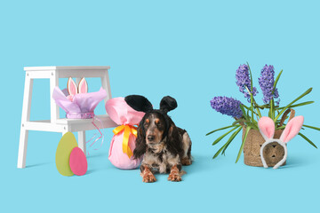 Cute cocker spaniel in bunny ears with Easter gift egg and beautiful flowers on blue background